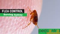 Flea Control Sydney image 3